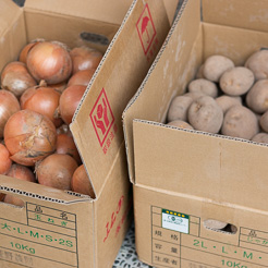 甲子園清左衛門有機野菜